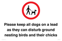 please-keep-all-dogs-on-a-lead-as-they-can-disturb-ground-nesting-birds-and-thei~